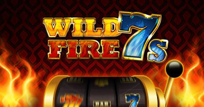 Play Dingo wild fire 7